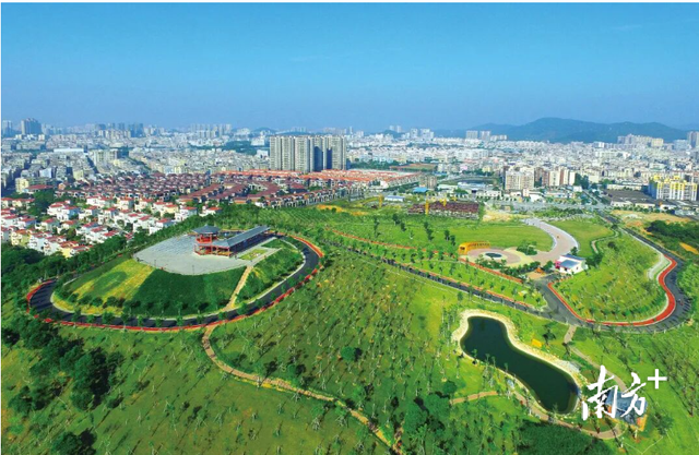 重阳登高，阳东哪座山最让你心驰神往？