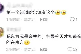 “尔滨，你让我感到陌生……”图片