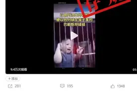 明查｜视频显示被以色列人锁在笼子里的巴勒斯坦儿童？图片