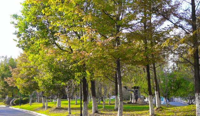 旌德，红黄橙绿白～