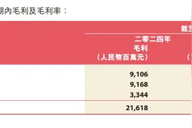 安踏体育上半年营收达337亿元，拟不超过100亿港元回购股份图片