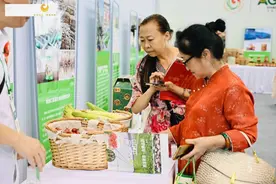 走进成都农博会主会场 郫都区全力拓展农产品市场图片