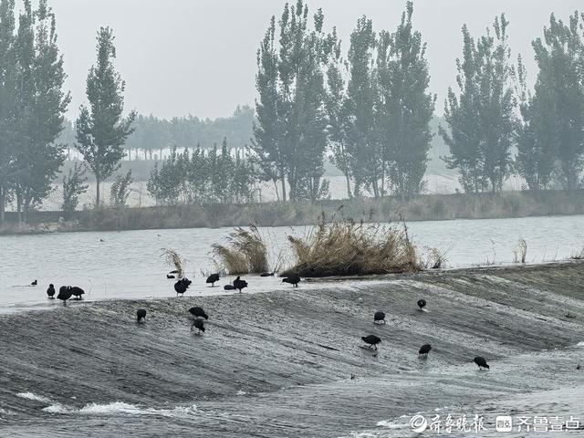 庆祝第26个中国记者节 “发现美好泰安”集中采风活动走进东平