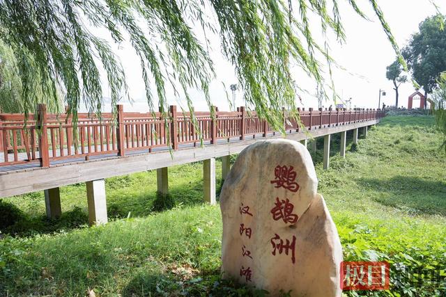 走进鹦鹉洲，徜徉在芳草萋萋的诗意里