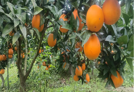 永川“留娃”去处上新→