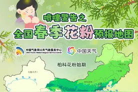 全国春季花粉预报地图来了，看哪里将进入过敏高发期图片