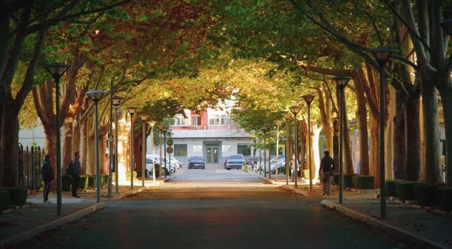 “隐藏款”北京秋景,就在中国气象局大院!