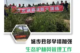 城步县多举措加强生态护林员管理工作图片
