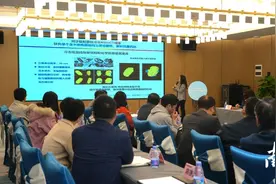大科学装置齐聚大湾区：打造世界级装置集群图片