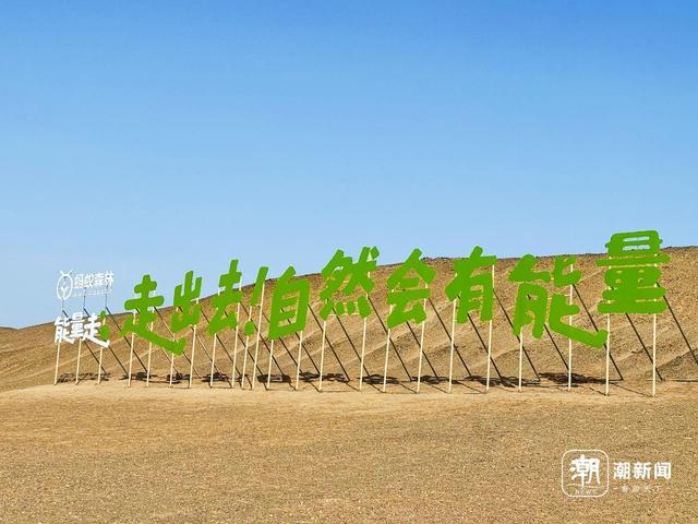 9年，7.5亿人，6.19亿棵树……我们在蚂蚁森林里，为潮新闻用户种了一棵树