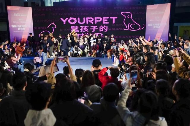 主题打卡、志愿服务、品牌展区…青年发展型城市的宠物博览会亮点多多