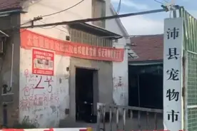 江苏沛县通报对问题宠物市场停业整顿，并依法立案调查视频封面