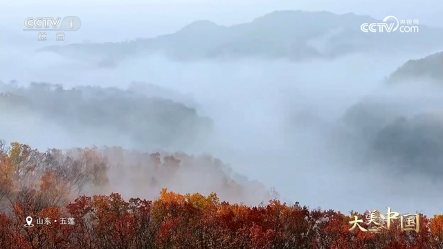 惊艳！日照初冬美景又双叒叕上央视啦！