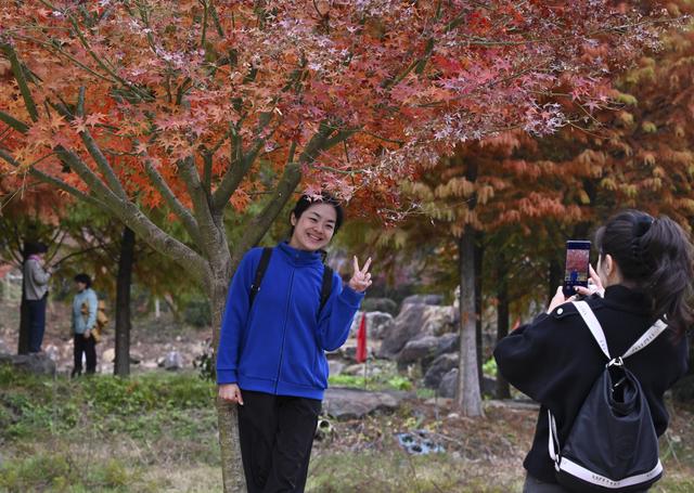 福州九峰村冬景迷人