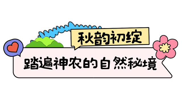 湖北有礼 | 文末送趴趴猴！湖北竟这么“神”，速来神农架探秘
