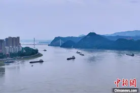 长江湖北宜昌段航运有序图片