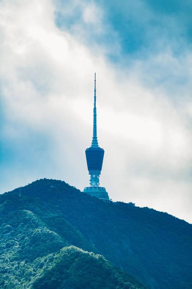 谁说市区没有神仙徒步线？绝美湖岸绿道太香了！