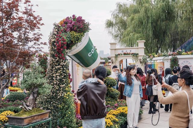 “巴公房子”立江畔，十大名菊传古韵！走过近70年的武汉菊展邀您来赏颜值品内涵