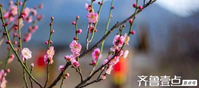 父亲节|送给父亲的礼物