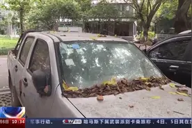 清理处置废弃车，让“城市包袱”变“绿色资源”！图片