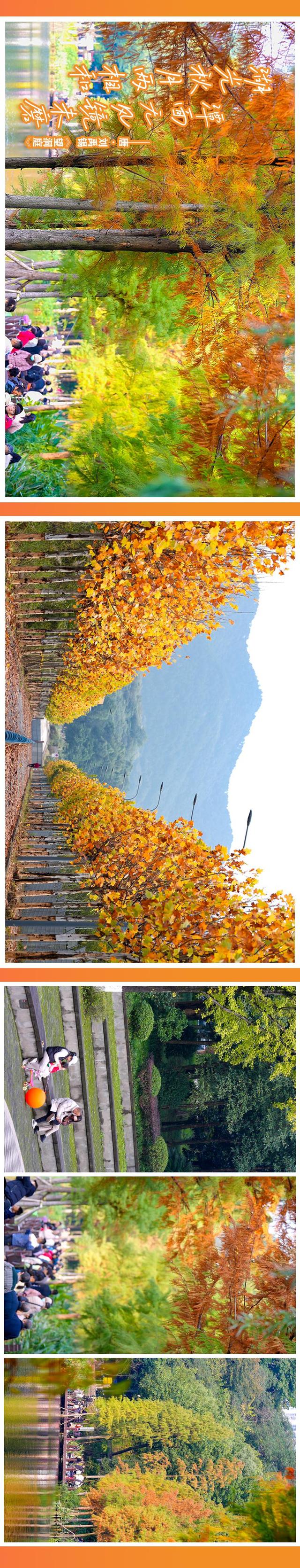 图说丨色彩 是山城写给深秋的情诗