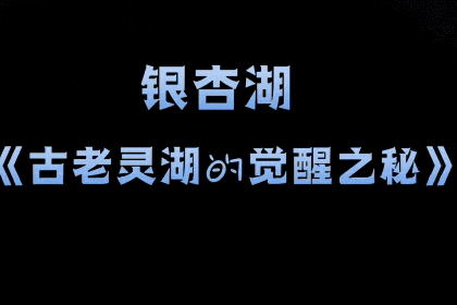 夜江宁，越夜“悦”精彩！