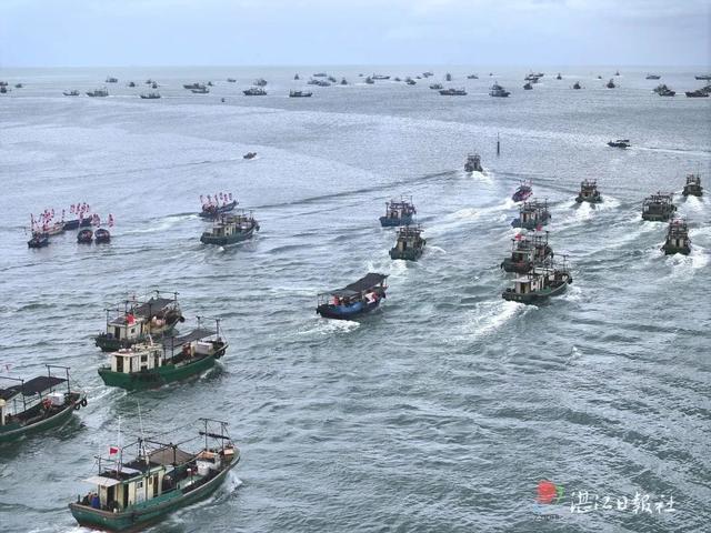人气爆棚！从“天光鱼市”到满房民宿，湛江这里有什么“魔力”？