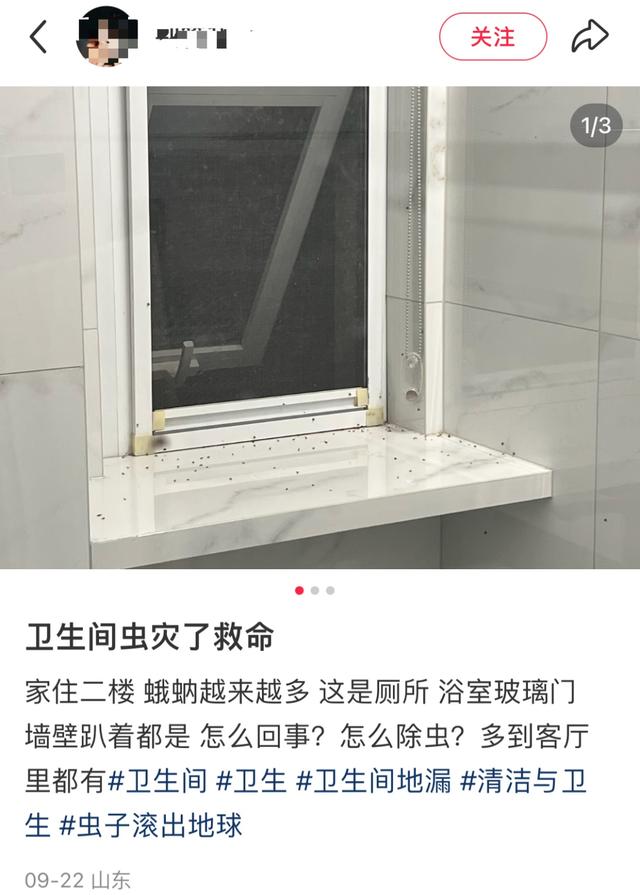 这种虫子看到一只，你家里很可能已有很多只了……