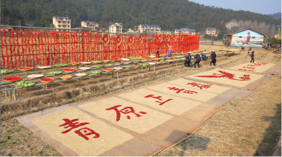 【2025年文旅系统工作成果展示】2025青原文旅交出高质量答卷，2026蓄力再出发