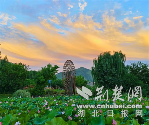 郧西县上津古镇让“多巴胺”跳动夏天