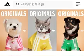 财经观察｜阿迪跨界宠物服饰赛道，奢侈品牌也在入局！“它经济”成市场新机遇？图片