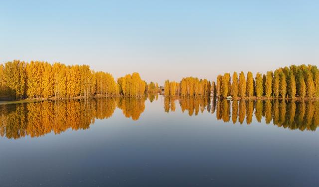 河北隆尧：初冬泜河风光秀美