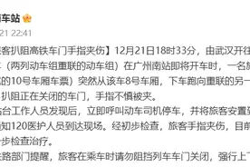 广州南站通报“一旅客扒阻高铁车门手指夹伤”：已送医接受进一步检查治疗图片