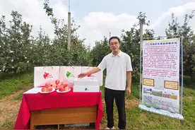 凤翔京丰果业种植农场：绿色引领，打造产业兴农典范图片