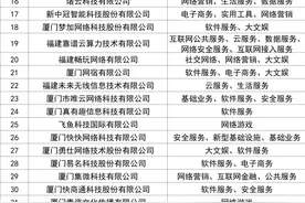 福建互联网企业前50强！名单发布！图片