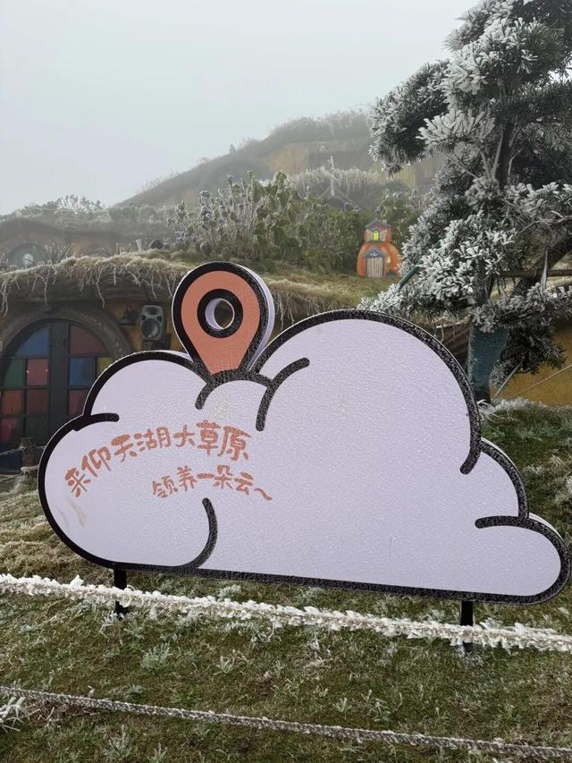 美到词穷！郴州首场雾凇惊艳上线