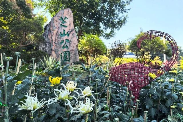 这场秋菊盛会，描绘着福建的千年风雅