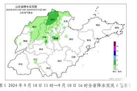 山东8市35县(区市) 出现降雨 未来4天全省多阴雨天气图片