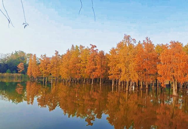 合肥的冬，正把限定浪漫写进倒计时里