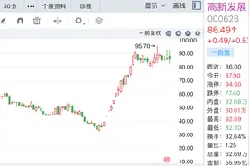 明星股高新发展业绩大增，“牛散”章建平去年四季度跻身前十大股东图片