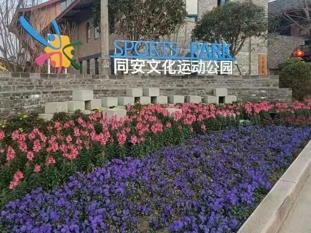 国庆中秋来龙泉驿，4条“寻美景”线路助你开启快乐之旅！