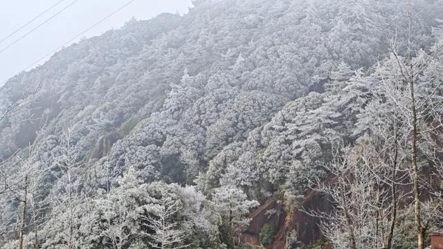 最低-4℃！2026年福建首场雾凇来了......