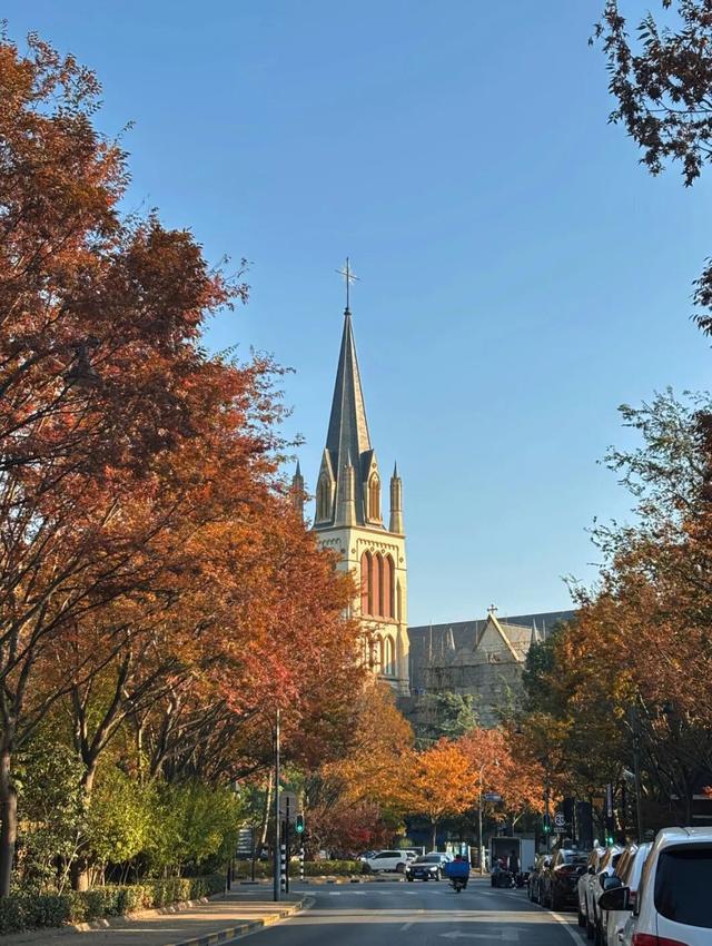 松江秋景开挂！5个宝藏地的红黄皮肤，限时上线！