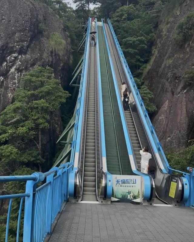 蓝媒热评丨“窝囊旅游”为何让人上头