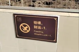 交汇点评｜“投喂，财运-1”标牌被撤，谁更该反省？图片
