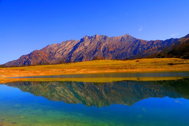 四川茂县层林尽染迎“盛会” 九鼎山开启“金色童话”观赏季