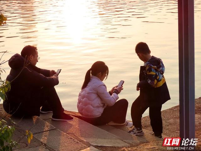 当冬日金光洒满年嘉湖，便是长沙最动人的模样