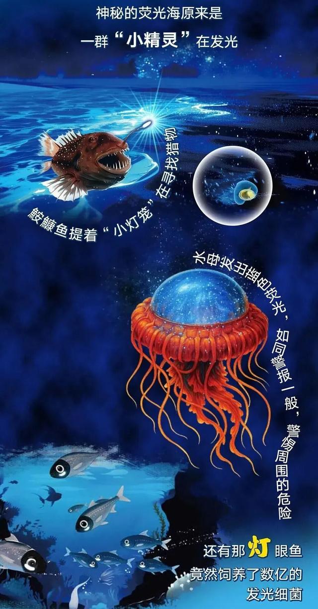 【限时限量“海洋博物馆”研学课】大师探秘营，带“活”的绘本进海底世界！