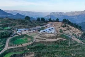 石阡河坝镇：深溪黑山猪“跑”出致富路图片