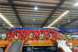 云南邮政开启“抢收抢发”模式图片